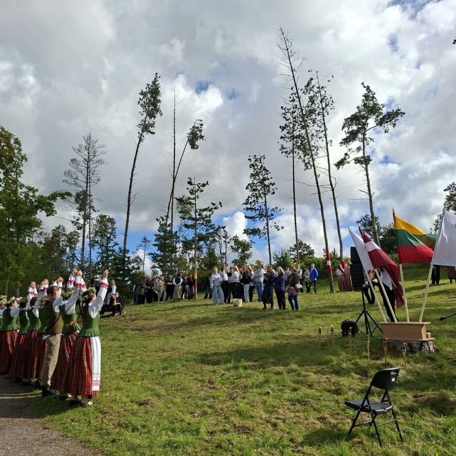 Baltu vienības diena