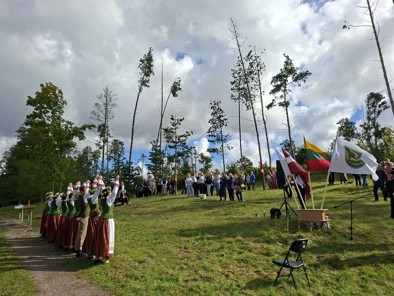 Baltu vienības diena